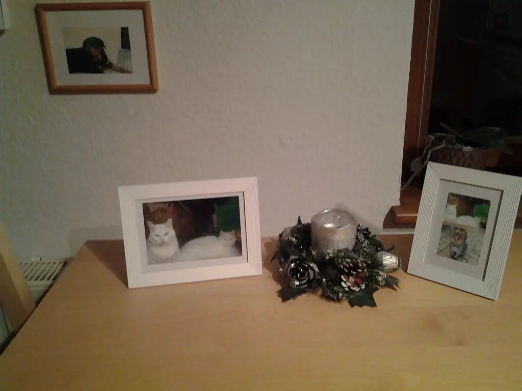 Image from Munke und Flocke , Schiste