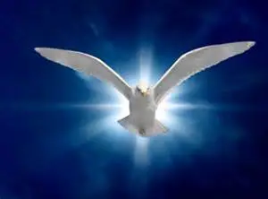 Condolence image of Unbekannt