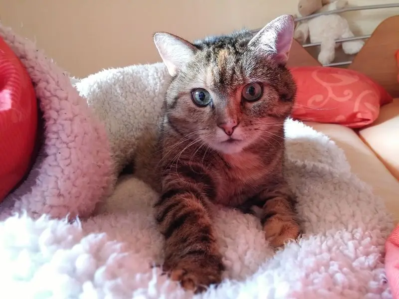 Condolence image of Daniela