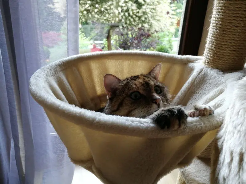 Condolence image of Daniela