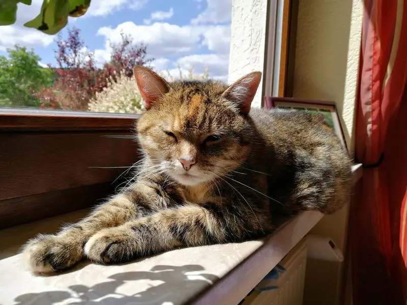 Condolence image of Daniela