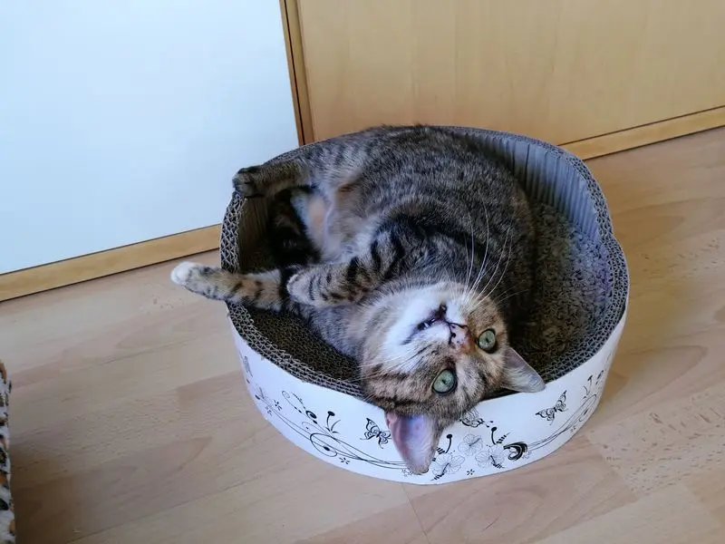 Condolence image of Daniela