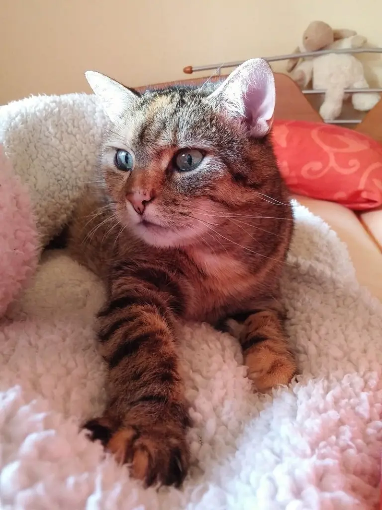 Condolence image of Daniela