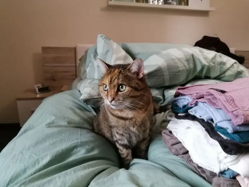 Condolence image of Daniela