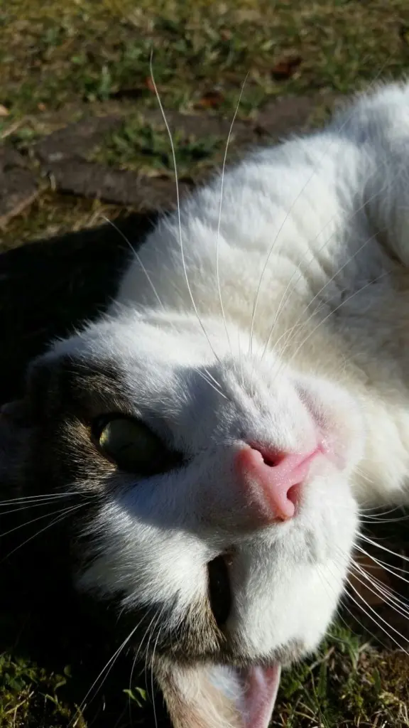 Condolence image of Christine