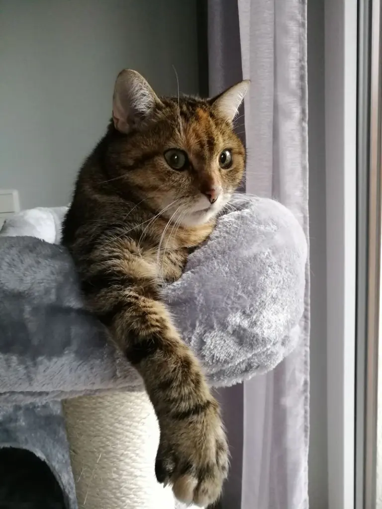 Condolence image of Daniela