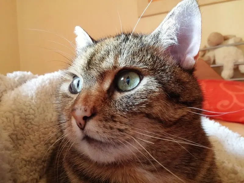 Condolence image of Daniela mit Pauline im ♥️