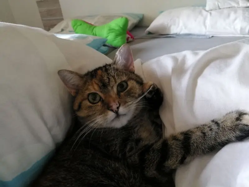 Condolence image of Daniela mit Pauline im ♥️