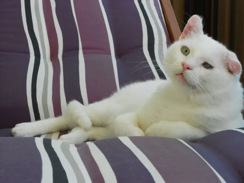 Condolence image of Shirley und Paul