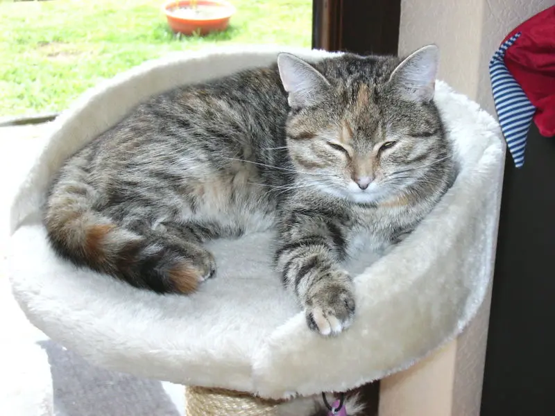 Condolence image of Daniela mit Pauline im ♥️