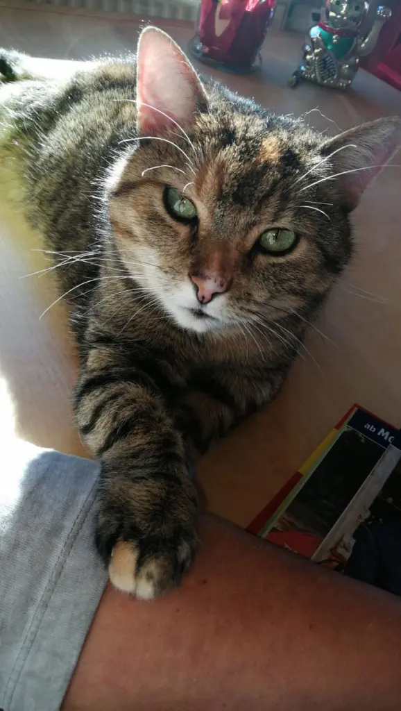 Condolence image of Daniela mit Pauline im ♥️