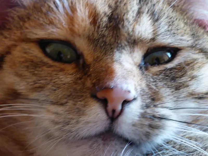 Condolence image of Daniela mit Pauline im ♥️