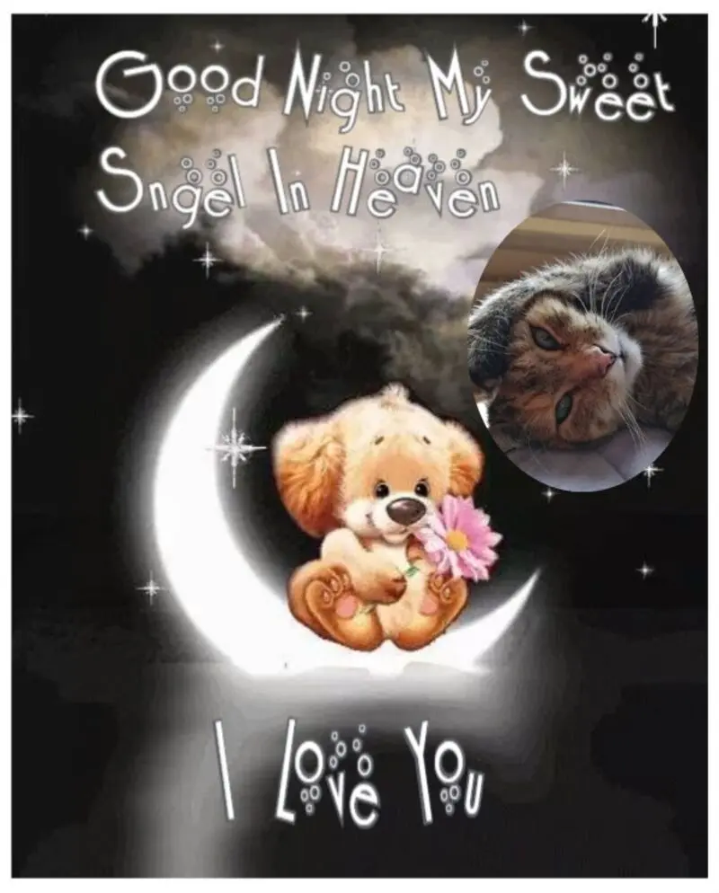 Condolence image of Fur Paulinchen❤️