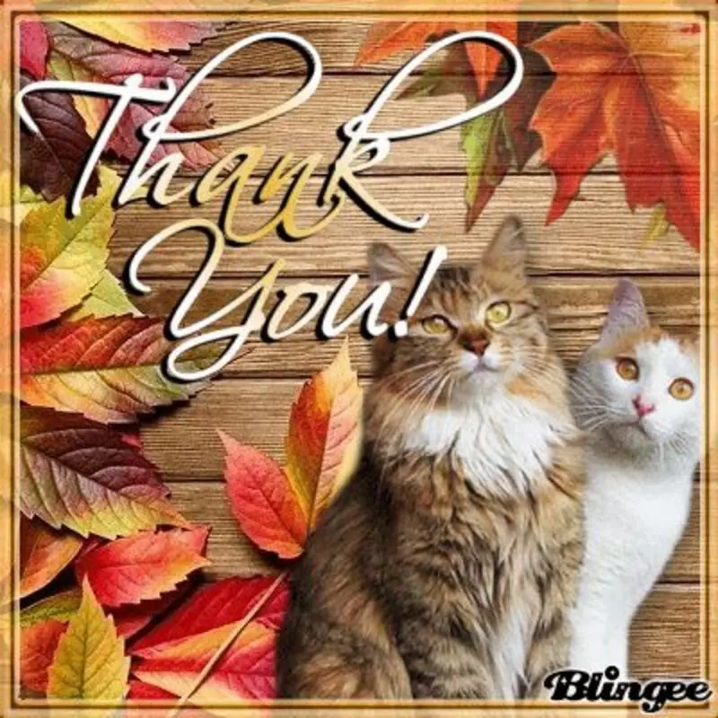 Condolence image of Tanja mit Timmy im Herzen