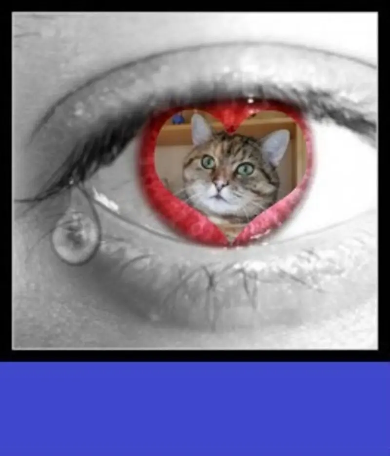 Condolence image of ❤️❤️❤️❤️❤️❤️❤️❤️❤️❤️❤️❤️❤️❤️