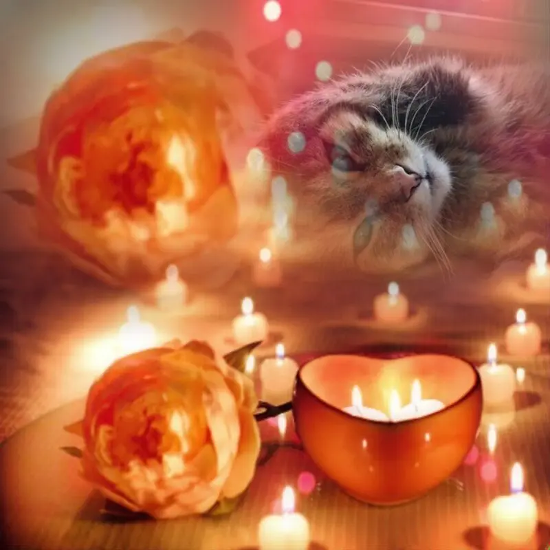 Condolence image of ❤️❤️❤️❤️❤️❤️❤️❤️❤️❤️❤️❤️❤️❤️