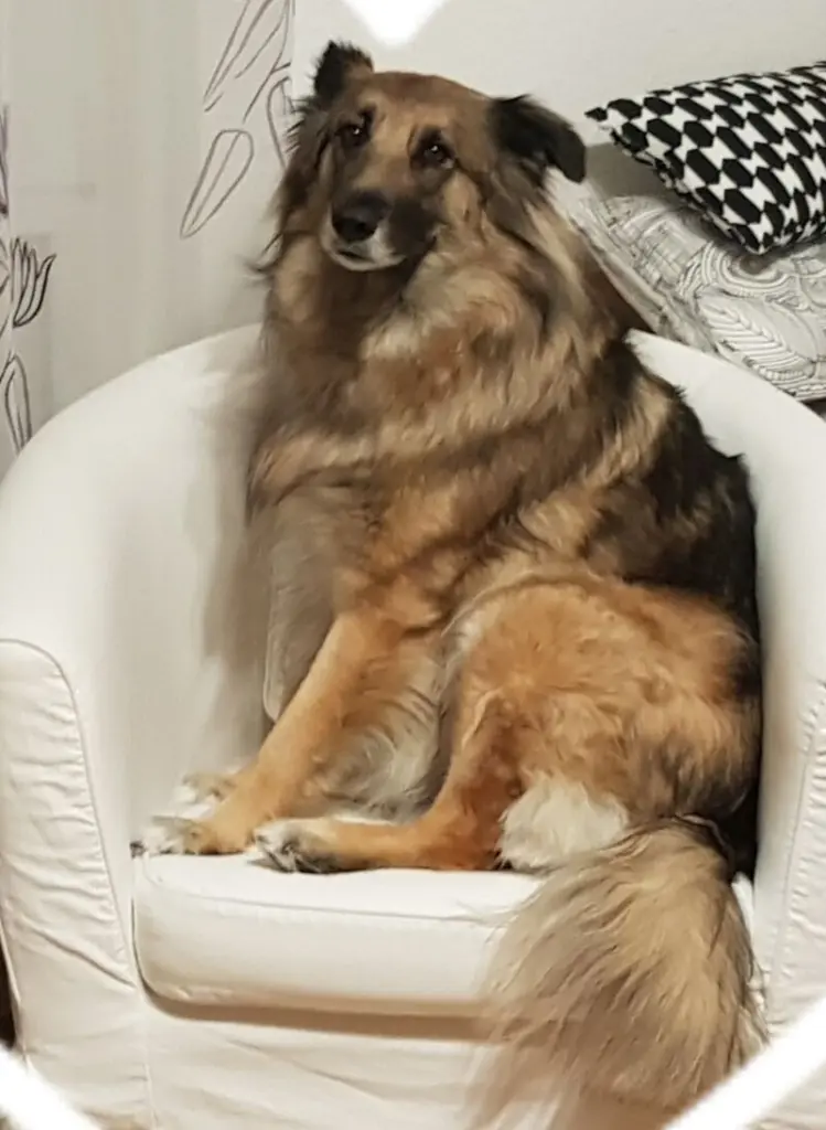 Condolence image of ❤️❤️❤️❤️❤️❤️❤️❤️❤️❤️❤️❤️❤️❤️