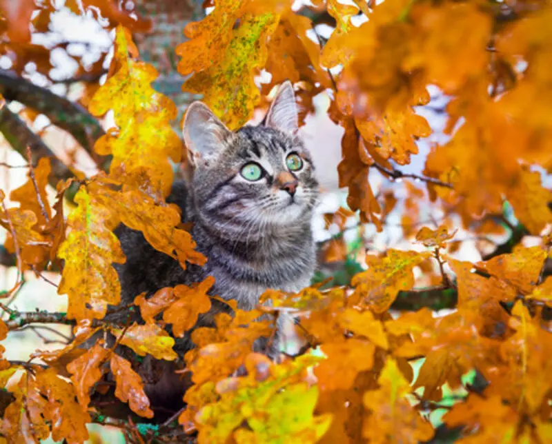 Condolence image of Tanja mit Timmy im Herzen