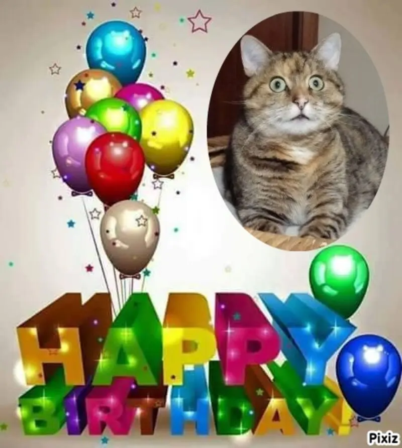 Condolence image of Patricia mit Bunny im ❤ gest. 24.11.2020