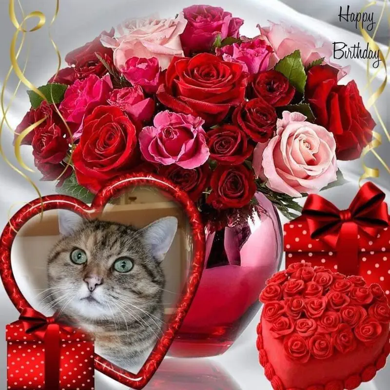 Condolence image of 14. Geburtstag❤️❤️❤️❤️❤️❤️❤️❤️❤️❤️❤️❤️❤️❤️