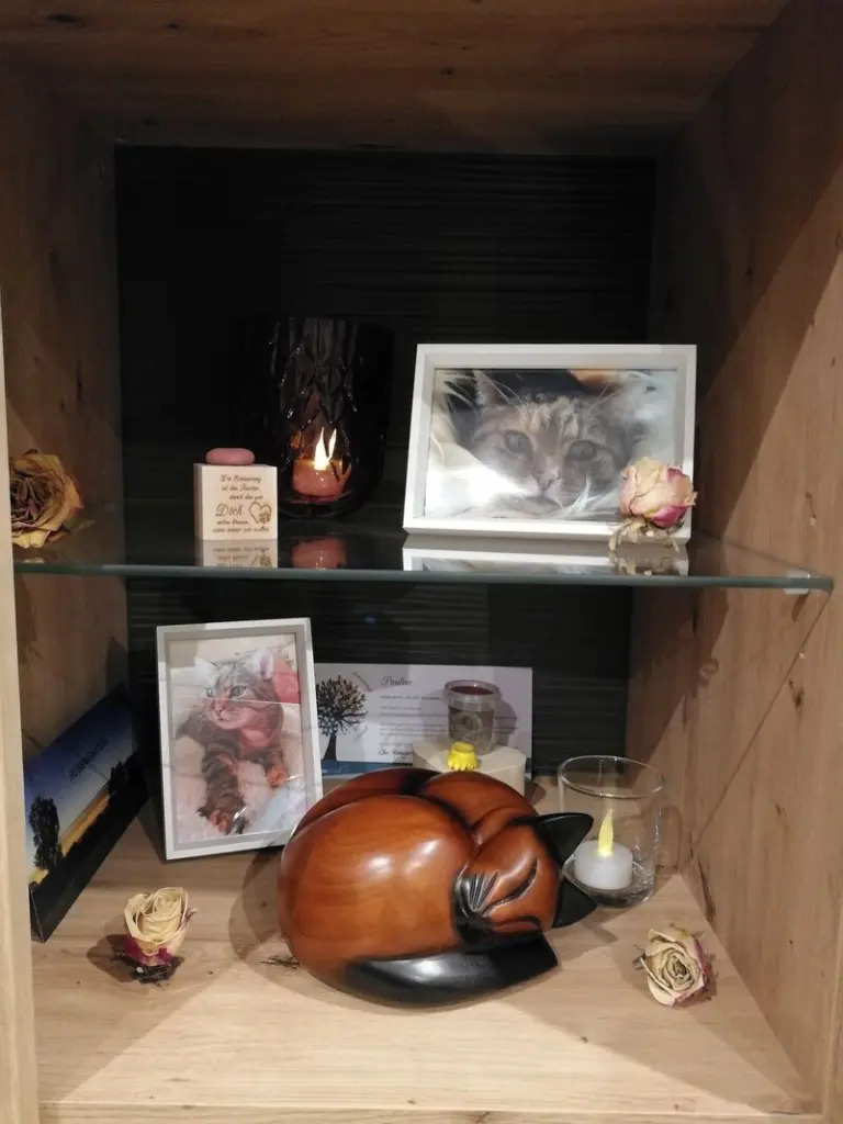 Condolence image of für mein geliebtes Engelchen Pauline ♥️