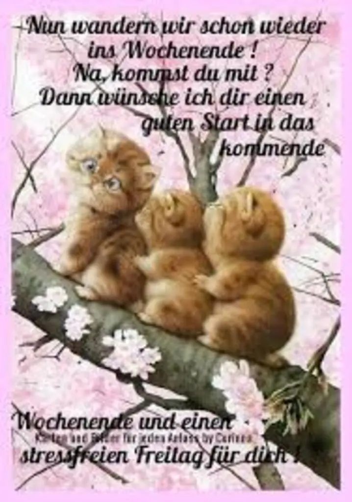 Condolence image of Tanja mit Timmy im Herzen 