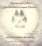 Condolence image of Christine mit Amy tief im Herzen(verst.13.11.2020)