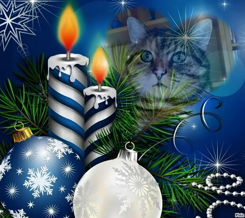 Condolence image of Tanja mit Timmy im Herzen 