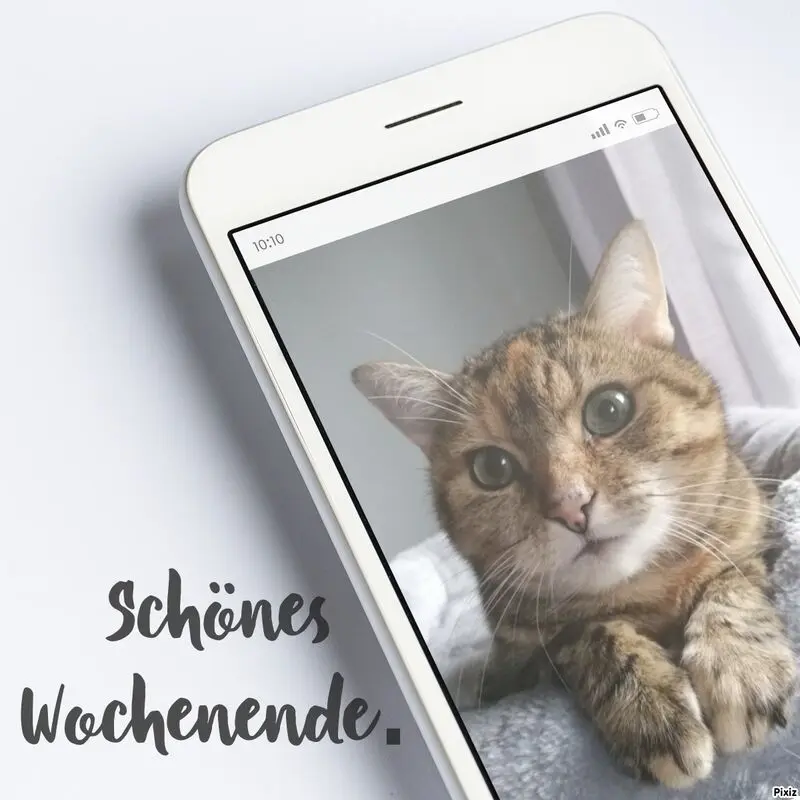 Condolence image of Patricia mit Bunny 