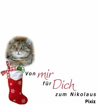 Condolence image of Tanja mit Timmy im Herzen 