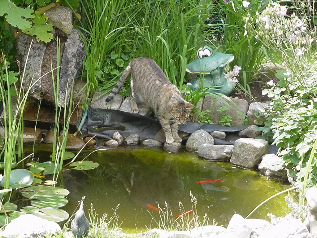 Condolence image of Elisabeth mit Marple