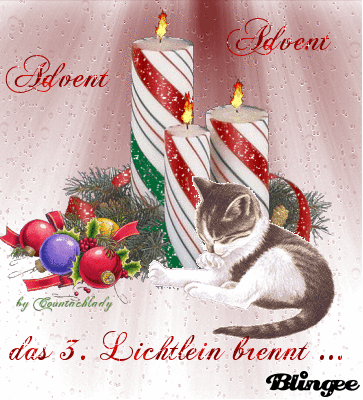 Condolence image of Für das Sternchen Paulinchen ❤️