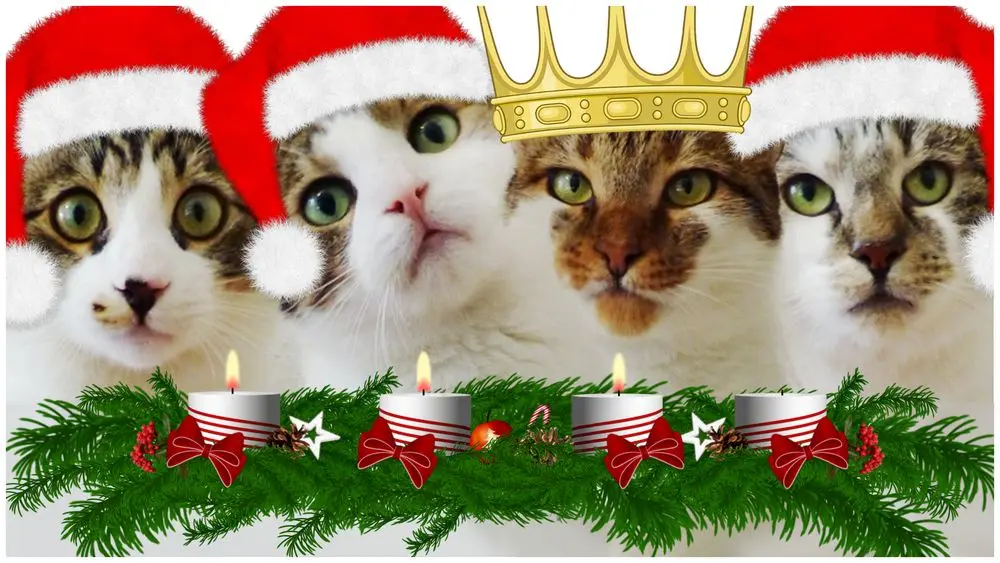 Condolence image of 3. Advent❤️❤️❤️