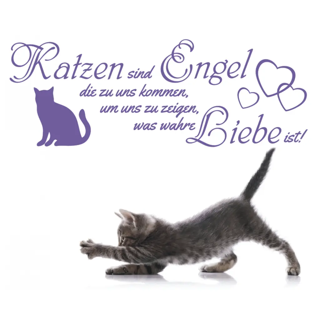 Condolence image of Katrin mit Katzi im ❤️