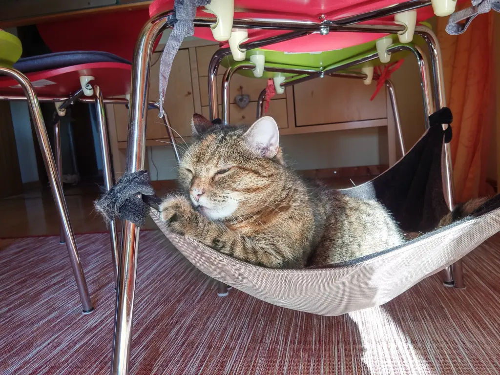 Condolence image of Deine Mama Daniela für Pauline ♥️