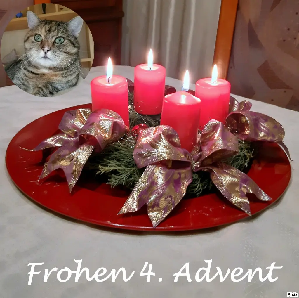 Condolence image of Tanja mit Timmy im Herzen 