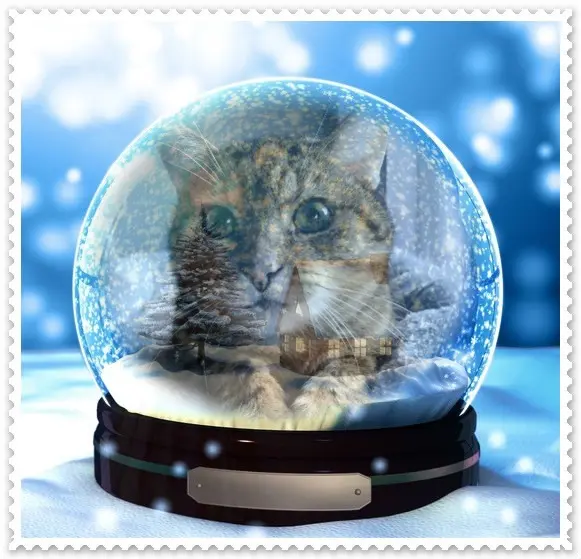 Condolence image of Patricia mit Bunny 