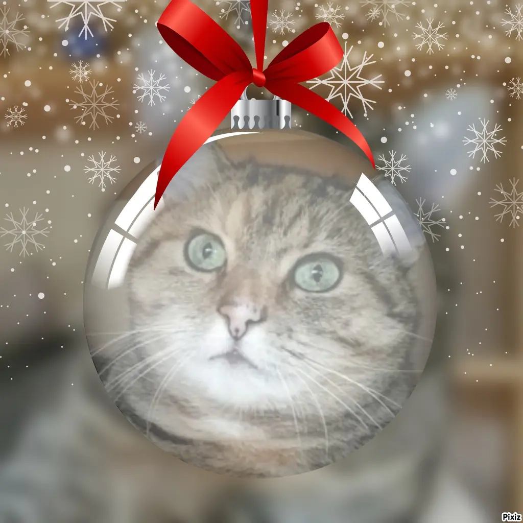 Condolence image of Tanja mit Timmy im Herzen 