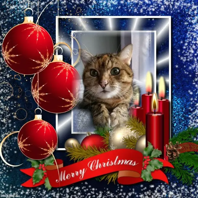 Condolence image of Patricia mit Bunny 