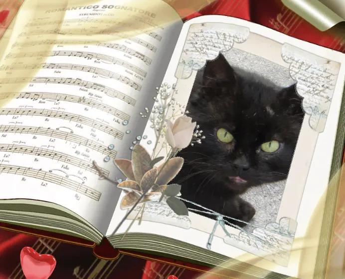 Condolence image of Carmen mit Zausel und Ravi