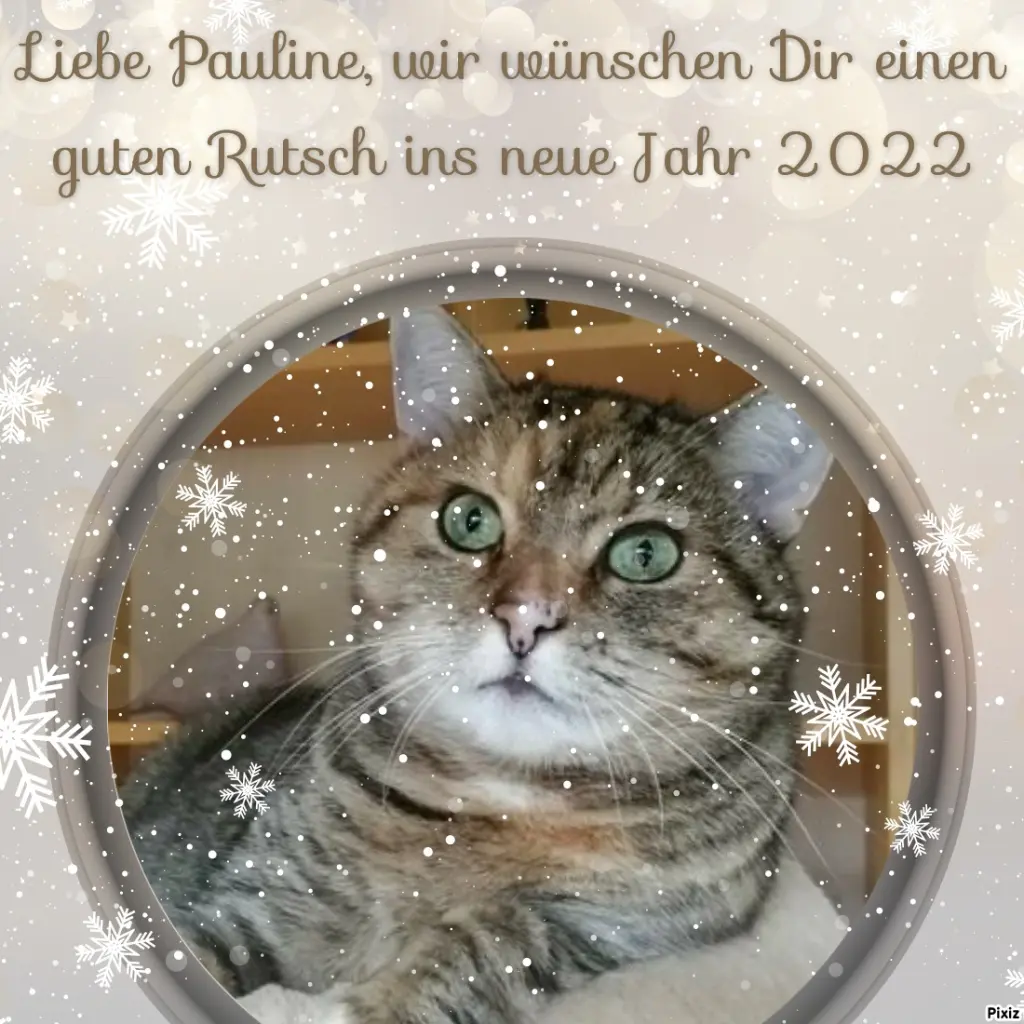 Condolence image of Tanja mit Timmy im Herzen 