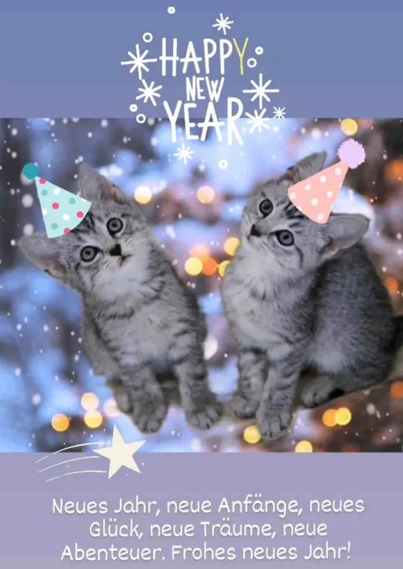 Condolence image of Katrin mit Katzi im ❤️