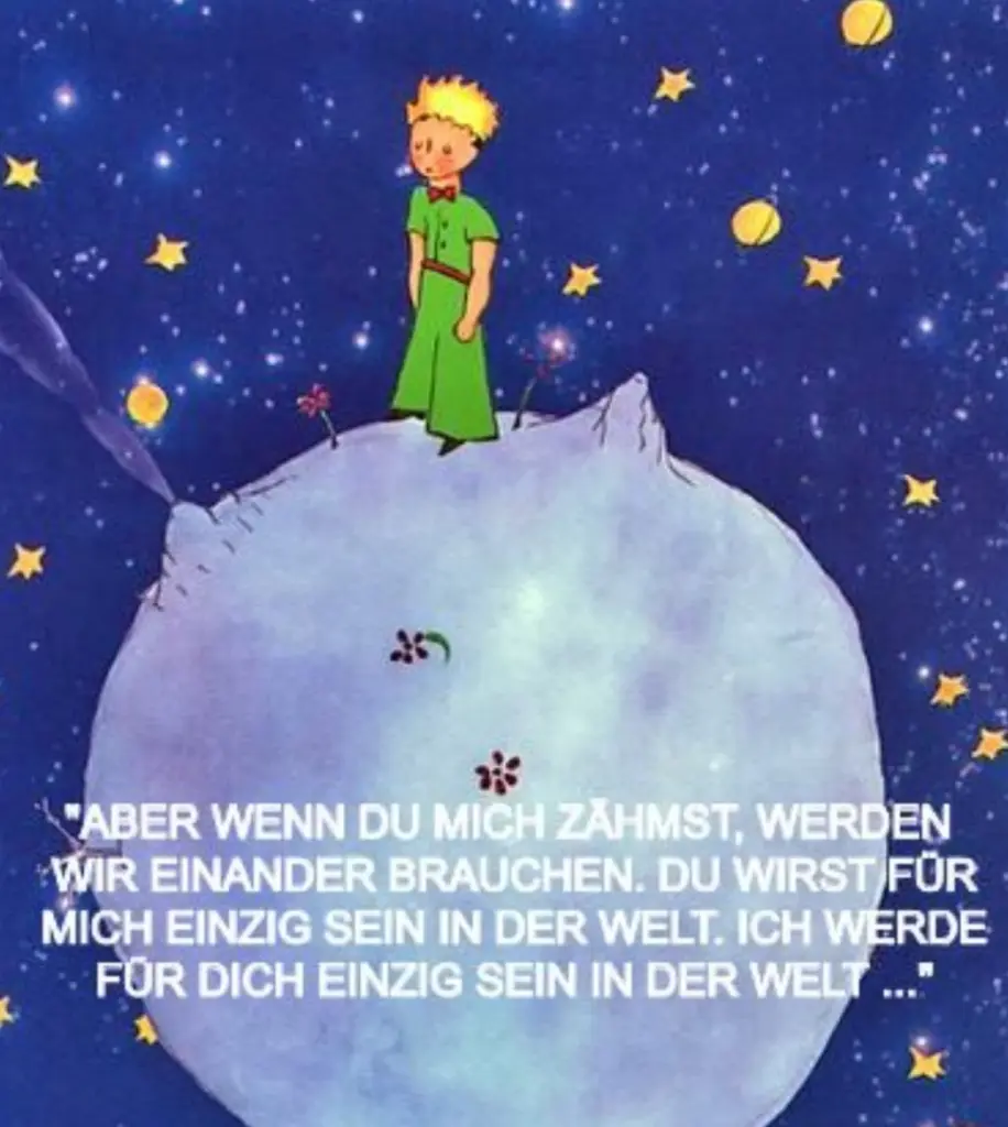 Condolence image of Mama Daniela für Pauline Sonnenschein ♥️