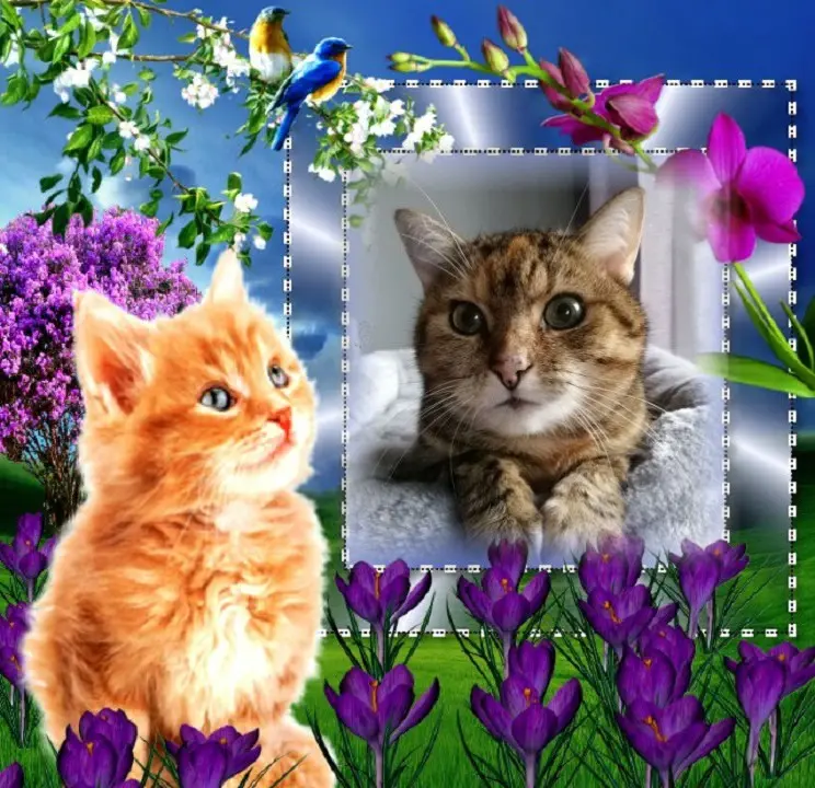 Condolence image of Patricia mit Bunny 