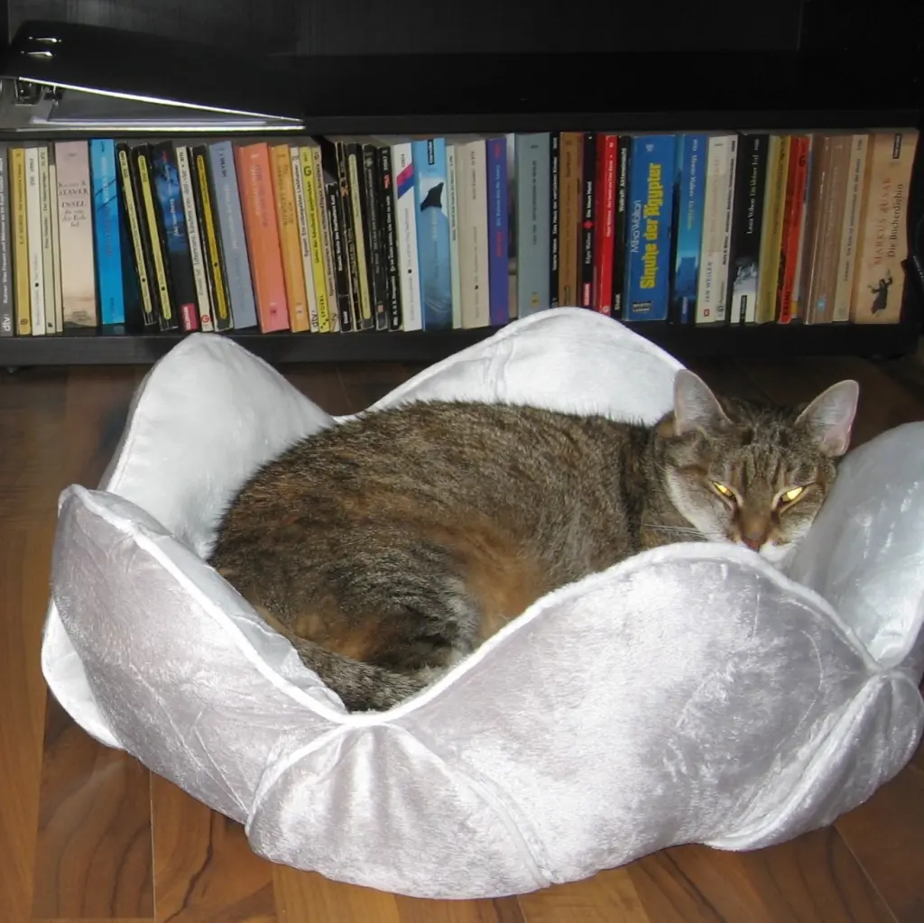 Condolence image of Marple