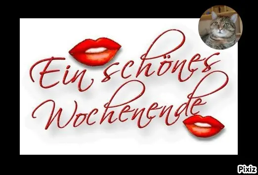 Condolence image of Tanja mit Timmy im Herzen