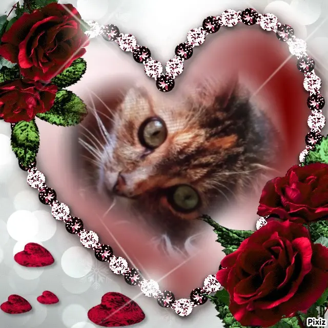 Condolence image of Für das Engelchen Paulinchen ❤️