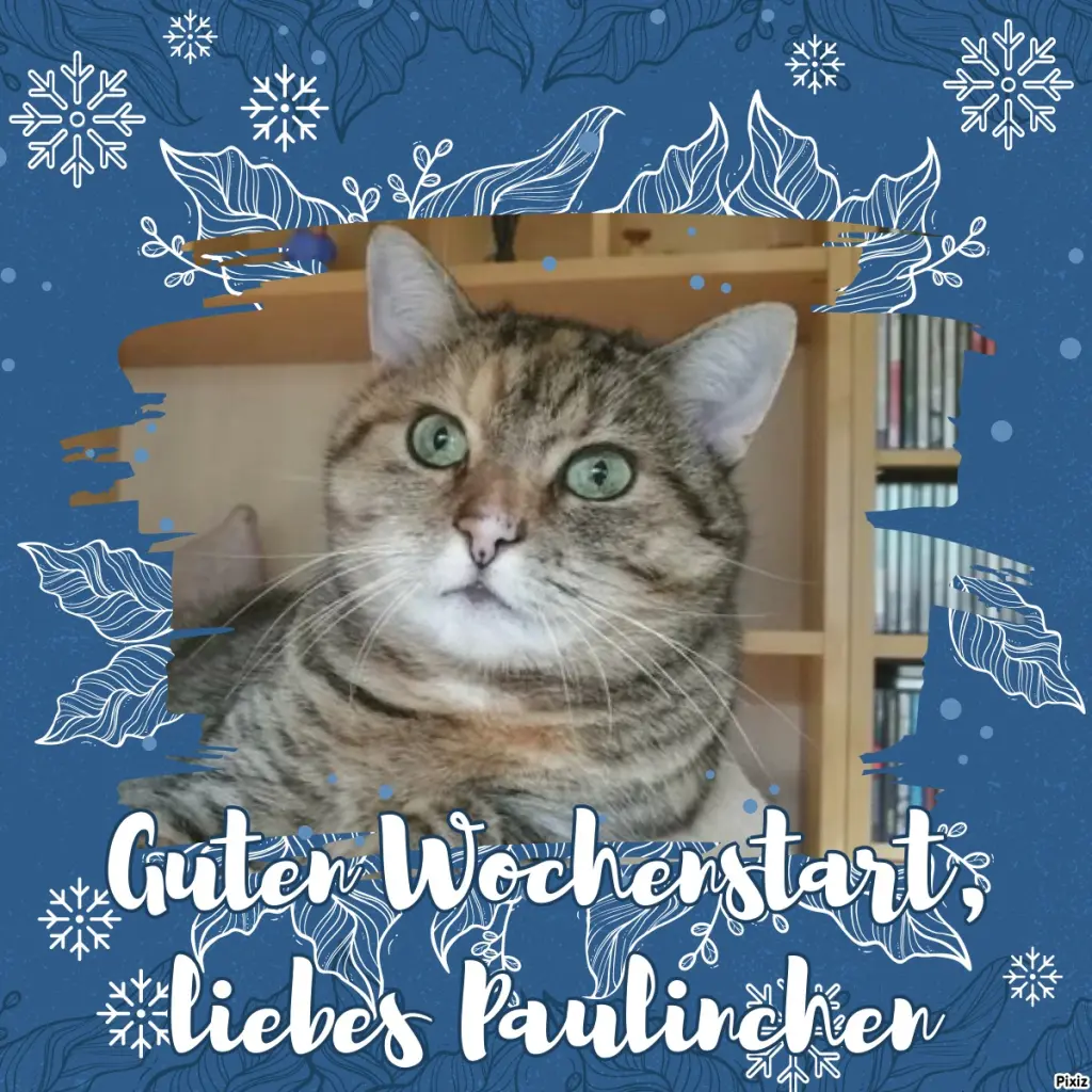 Condolence image of Tanja mit Timmy im Herzen 