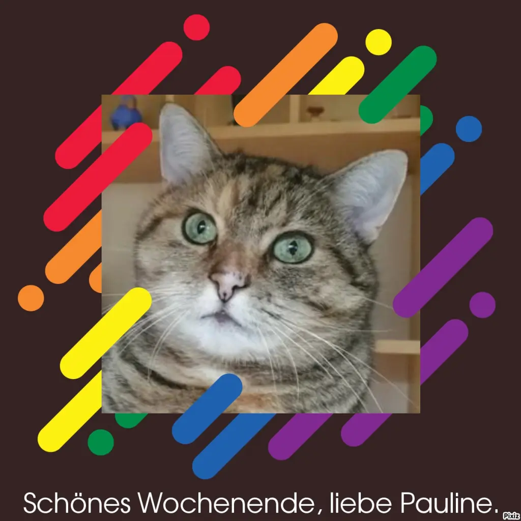 Condolence image of Tanja mit Timmy im Herzen 