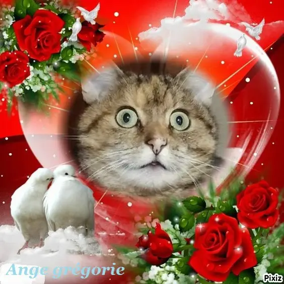 Condolence image of Tanja mit Timmy im Herzen 